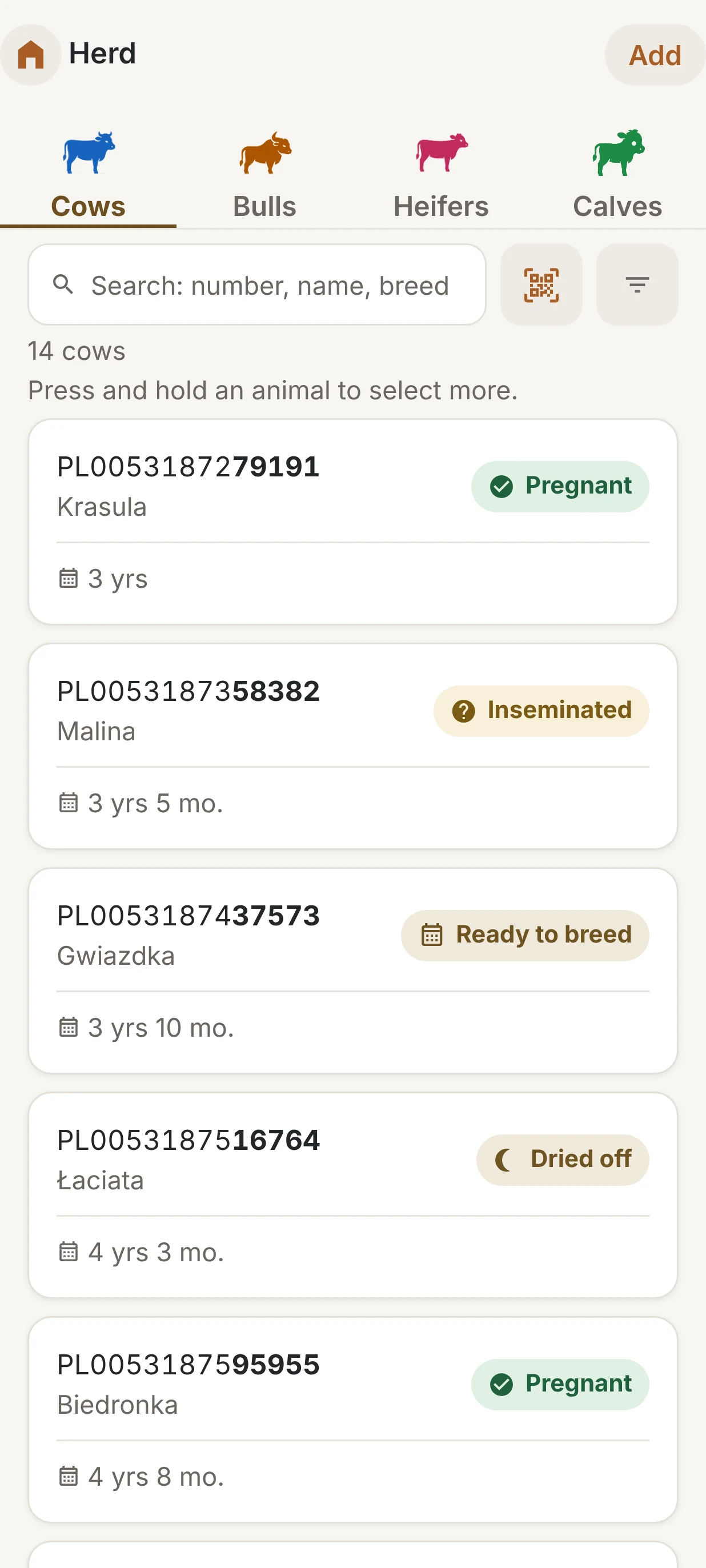 Herd list with breeding statuses