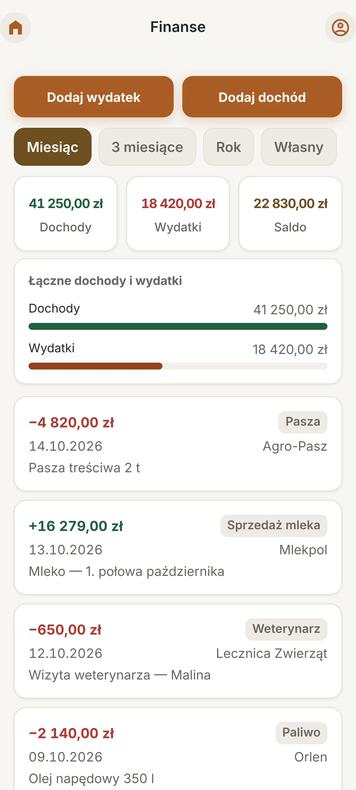 Finanse: dochody, wydatki i saldo